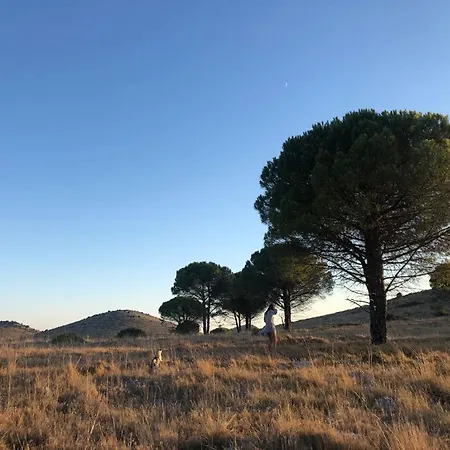 Apartamento Island *